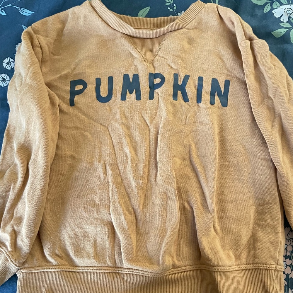 Little Co pumpkin crewneck sweater